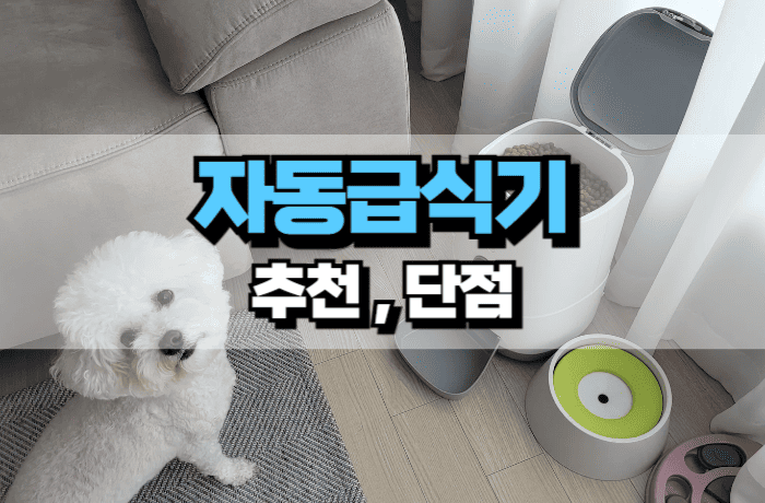 강아지-자동급식기-추천-단점-썸네일