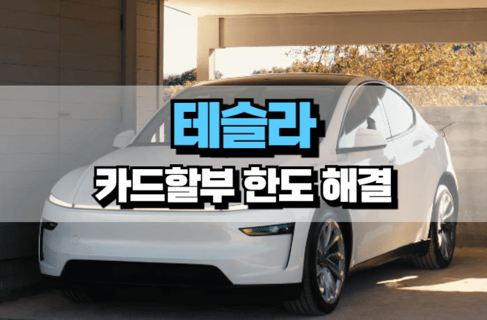 테슬라-카드할부-한도-부족-안됨-해결-방법-3가지-썸네일